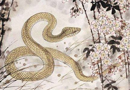 「屬蛇 sohu」的圖片搜索結果