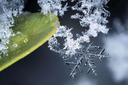 小雪和大雪有什么区别 哪个节气会比较冷 华易算命网