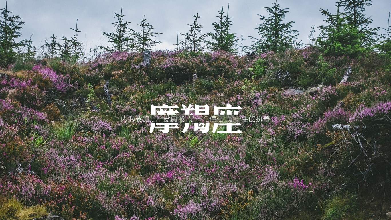 年摩羯座运势 鼠年11月星座运势解析 华易算命网