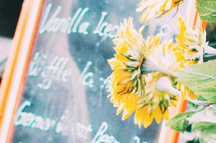 年农历八月出生是什么星座 星座性格特点是什么 华易网