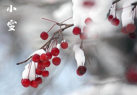 小雪节气吃什么食物好 小雪节气养生要注意什么 华易网