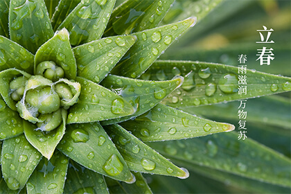 21年立春是六九第一天吗 立春后天气还会冷吗 华易算命网