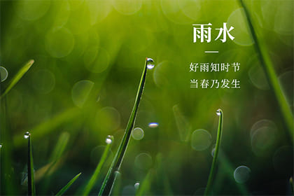 雨水