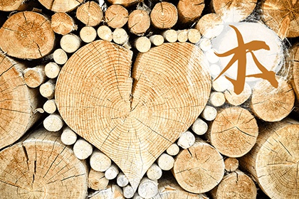 木命要穿什么颜色的衣服 木命人忌讳什么 华易算命网