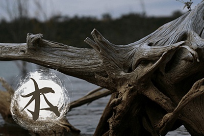 桑柘木命理解析 桑柘木命的命运如何 华易算命网