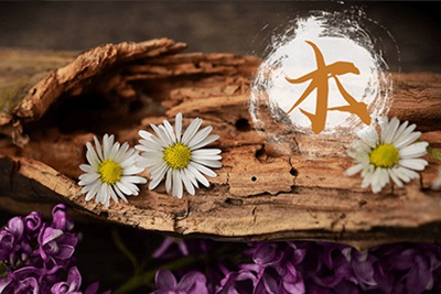 木命叫什么名字好听 带梓字的木命女孩好名字 华易算命网