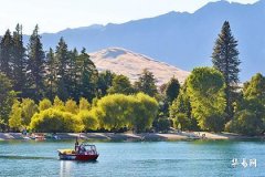 本命年可以结婚吗,2026年为什么叫寡妇年