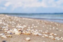 1975属兔2025年财运好吗,1975年几月兔命苦