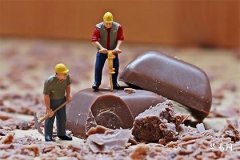 叫岚的女人命运