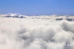 双鱼座通常拒绝别人会有什么表现：情感变化的信号