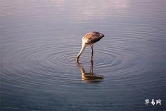 五行缺火喜木的男孩名字,100分木火组合男孩名