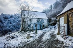 带德秀贵人的八字多吗,四柱都带德秀贵人好吗