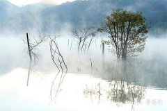 貔貅最忌讳三个生肖——属虎、属蛇、属猴