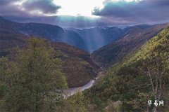 叫琳的女人命运